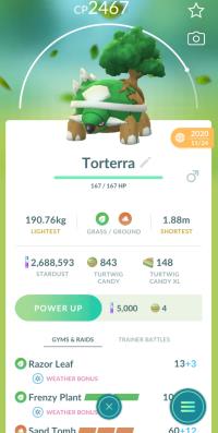 HIGH CP TORTERRA + 3 MOVES UNLOCKED + LEGACY FRENZY PLANT ||| Turtwig Evolution - Pokemon Go Services